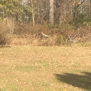 Meet your Posher, Joe